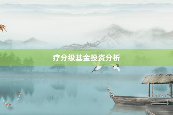 疗分级基金投资分析