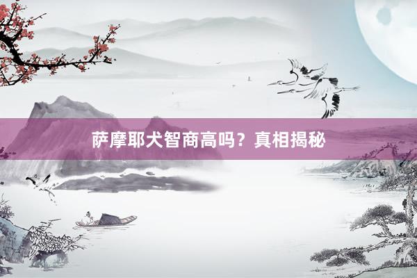 萨摩耶犬智商高吗？真相揭秘